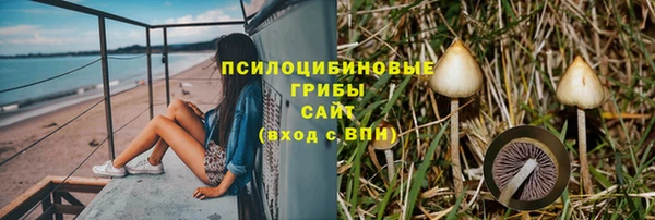 MESCALINE Богородицк