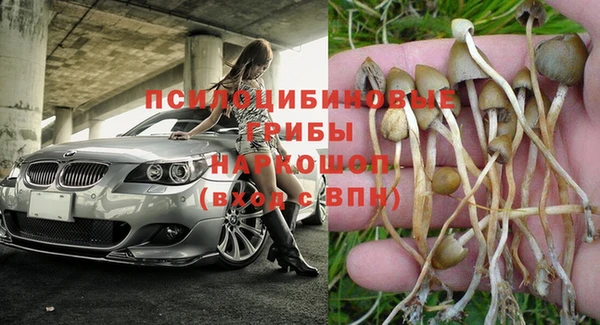 MESCALINE Богородицк
