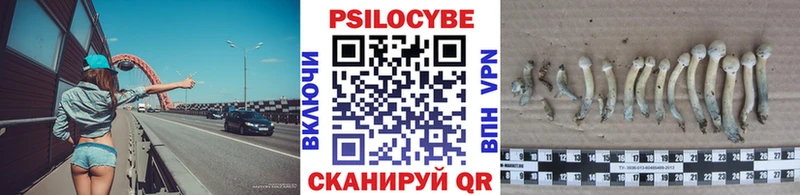 Галлюциногенные грибы MAGIC MUSHROOMS  цена   Бахчисарай 